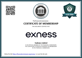 Comprehensive Guide to the Exness Introducing Broker IB Program Comprehensive Guide to the Exness Introducing Broker IB Program